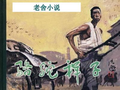 spa全身按摩视频